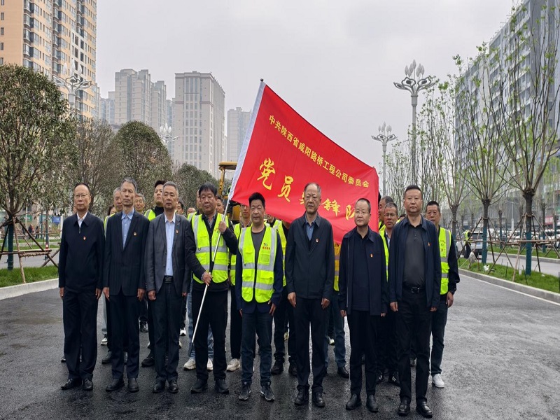 公司党委举行“党员先锋队”授旗仪式